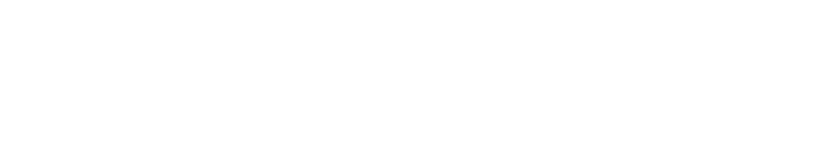 toshiba c